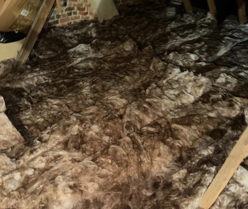 Bristol loft insulation installation case study