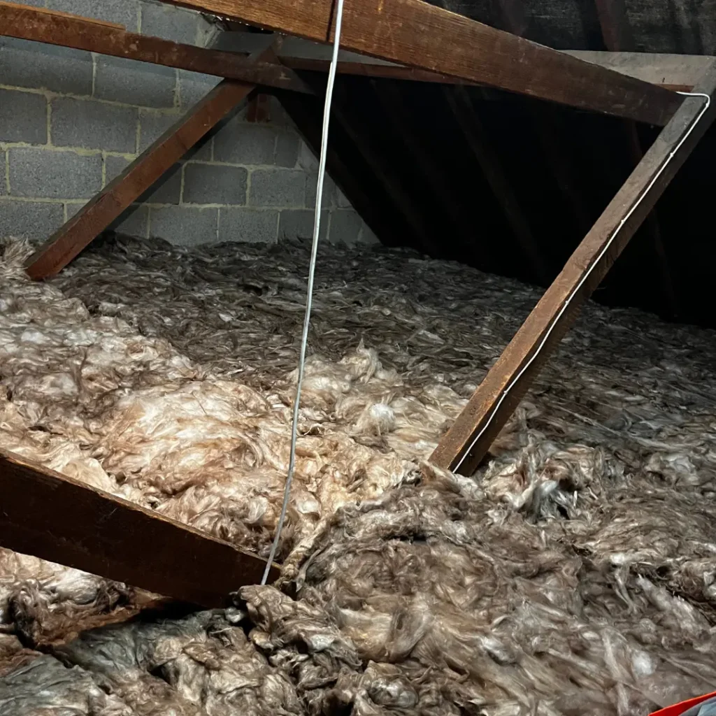Loft Insulation Image